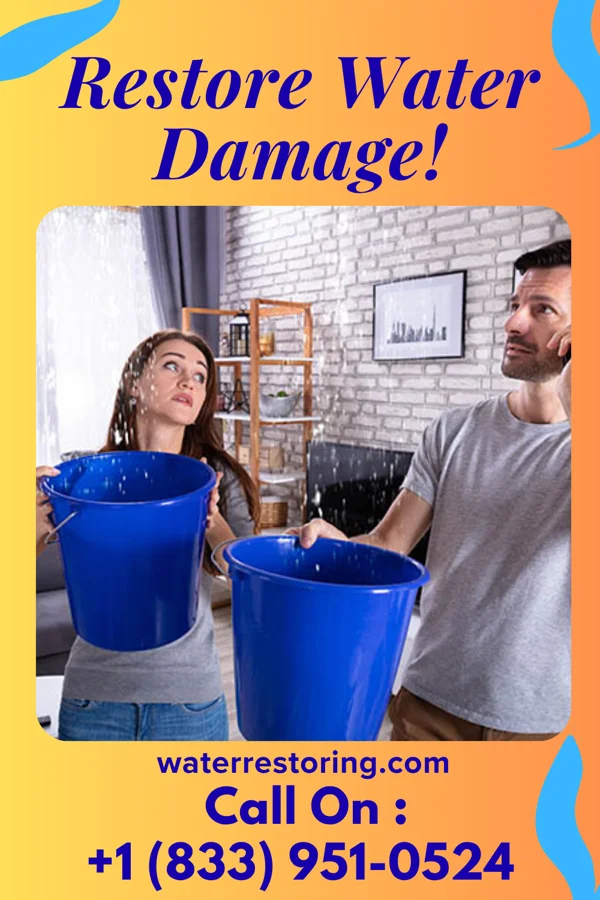 water restoration Total Water Mitigation Co Sagaponack