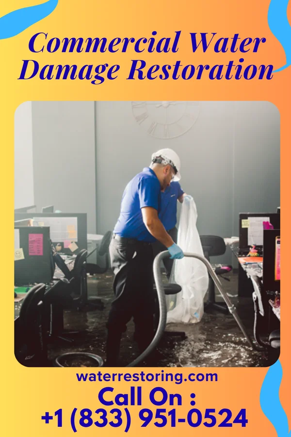 Commercial Water Damage Restoration in Sagaponack, NY