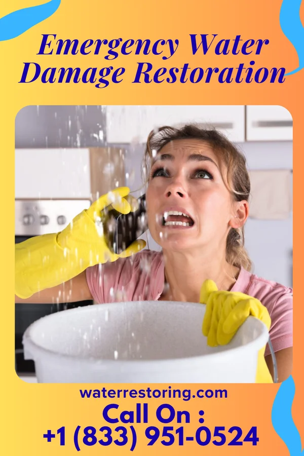 Emergency Water Damage Restoration in Sagaponack, NY