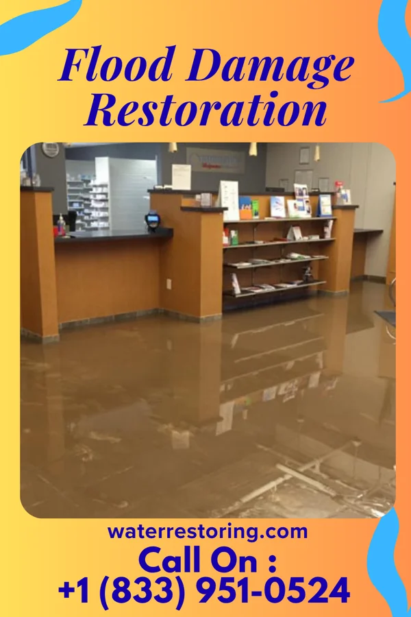 Flood Damage Restoration in Sagaponack, NY