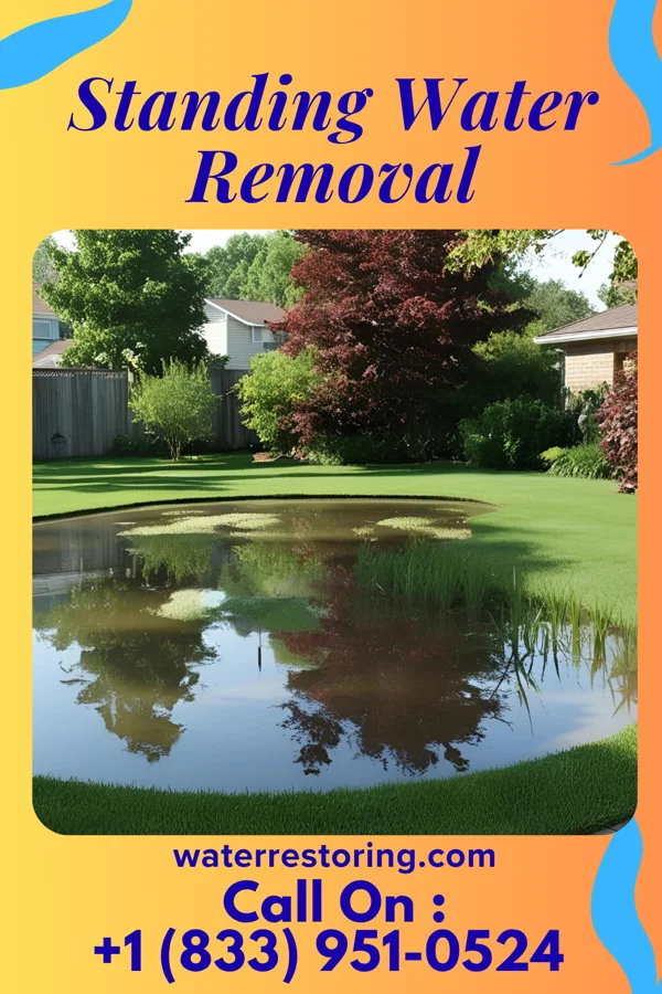 Standing Water Removal in Sagaponack, NY